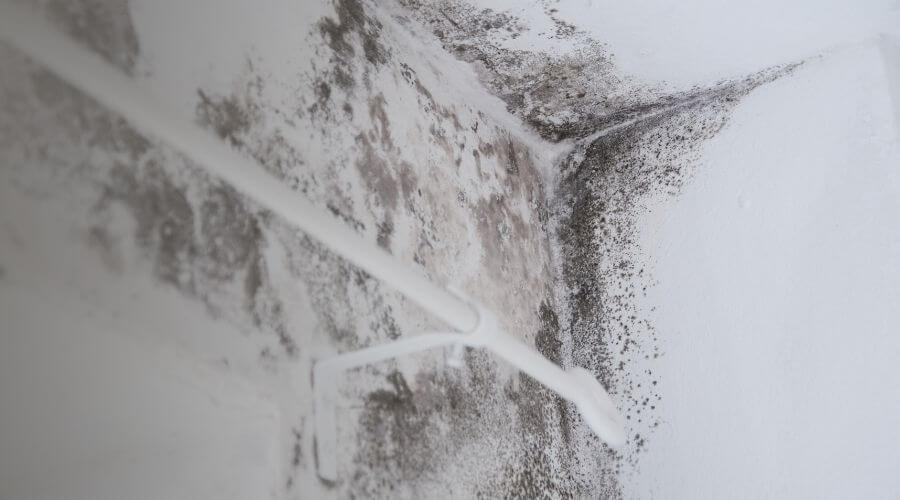 Why choose water damage restoration service for commercial water damage restoration in Ann Arbor